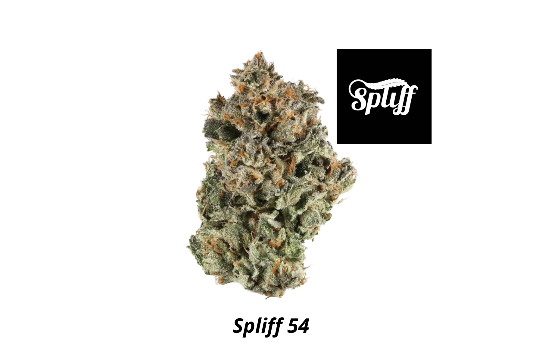 Spliff Dispensary in Washington DC