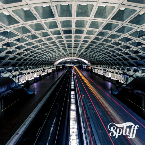 Premium Cannabis Dispensary in Washington DC | Cannabis event Meet Up for 4/20