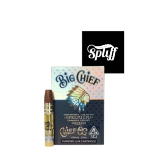 Big Chief Carts Vape carts in Washington DC Cannabis Dispensary near me