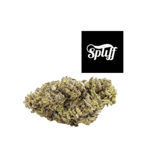 Mac strain available at Spliff Nation Dispensary in Washington DC