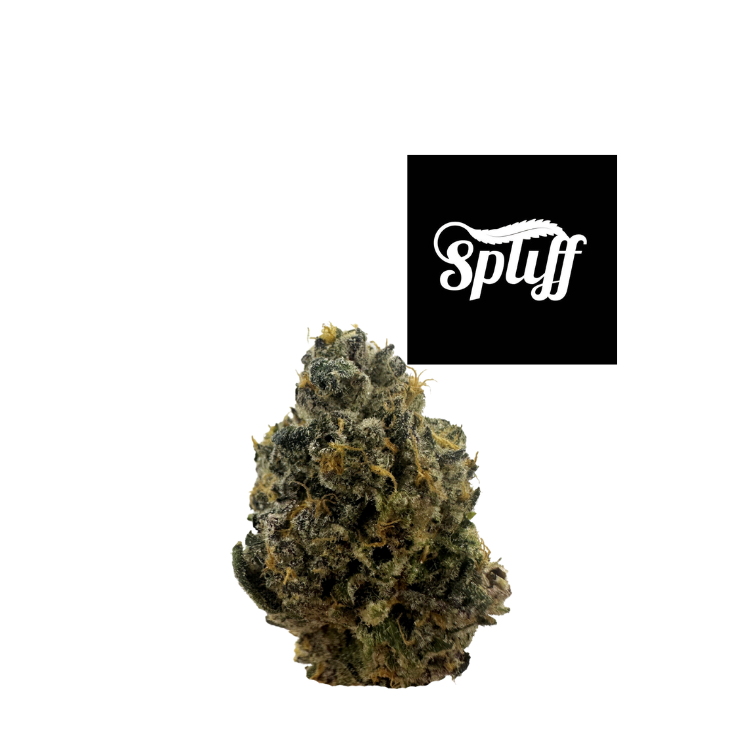 Jealousy strain in washington dc dispensary near me