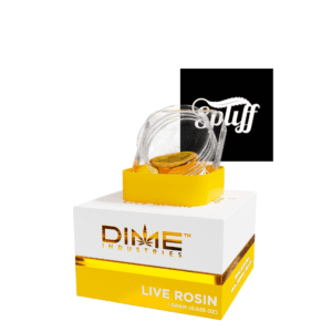 Dime Industries Live Rosin 1 Gram cannabis concentrate displayed in luxurious packaging