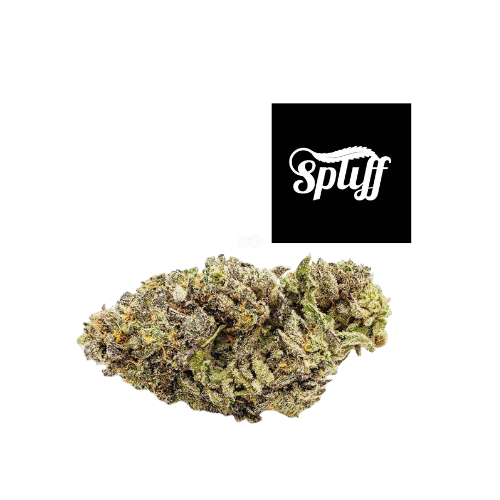 Mac strain available at Spliff Nation Dispensary in Washington DC