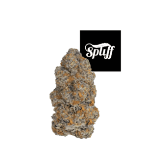Biscotti Strain at Spliff Nation Cannabis weed Dispensary in Washington DC