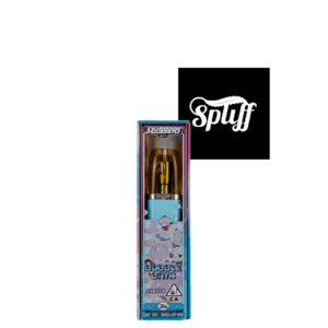 Sluggers Hit 2 gram Disposable vapes in Washington DC Cannabis Dispensary Weed Store