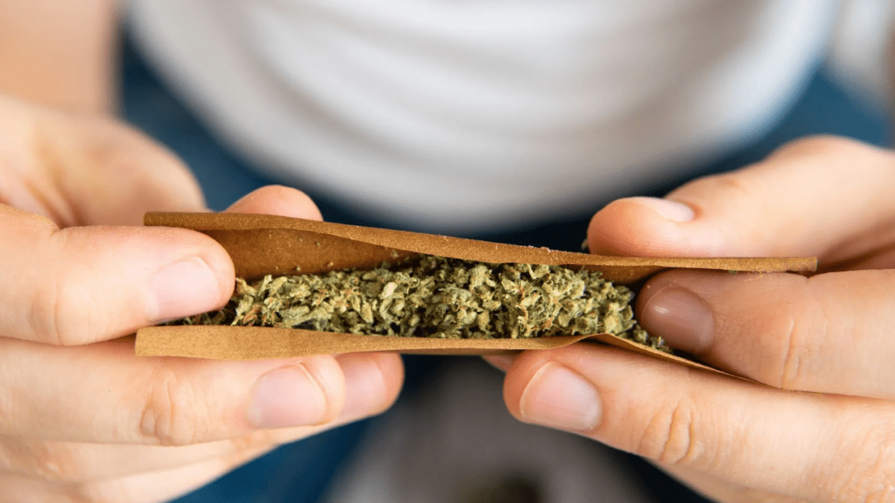 How to Roll Blunts: The Ultimate Beginner’s Guide