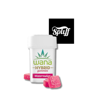Wana Watermelon Hybrid cannabis-infused gummies 100mg at Spliff Nation Dispensary in Washington DC