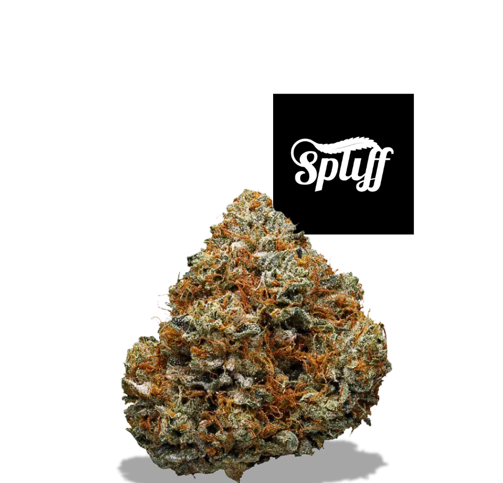 Godfather OG weed strain is now in Washington DC's Top Cannabis Dispensary