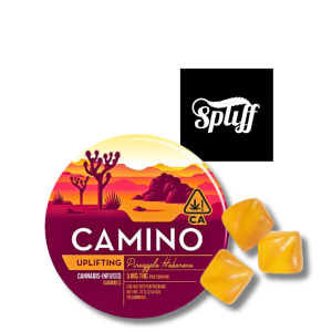Camino Uplifting Pineapple Habanero 100mg THC cannabis gummies tin – Spliff Nation Dispensary Washington DC
