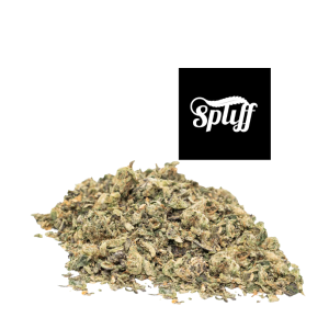 Blue Dream shake strain pile product photo with Spliff logo - Washington DC