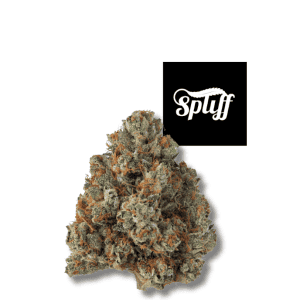 Khalifa Kush premium hybrid cannabis flower at Spliff Nation Dispensary Washington DC high THC strain