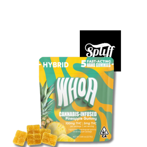 WHOA Pineapple fast-acting nano cannabis gummies hybrid 100mg THC at Spliff Nation Dispensary in Washington DC