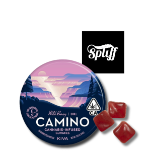 Kiva Camino Chill Wild Berry Gummies 100mg THC tin with berry flavored cannabis gummies