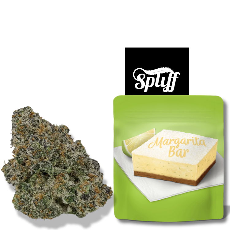 Cookies - Lemonnade- Margarita Bar - Spliff Nation Dispensary in Washington DC Lemonnade Margarita strain 3.5g premium cannabis flower by Cookies at Spliff Nation Dispensary Washington DC