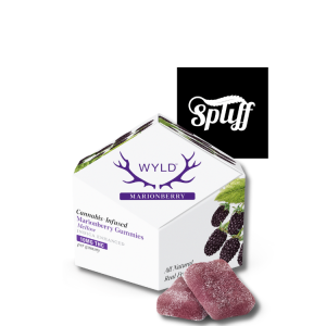 WYLD Marionberry Indica Gummies 100mg THC at Spliff Nation Dispensary Washington DC
