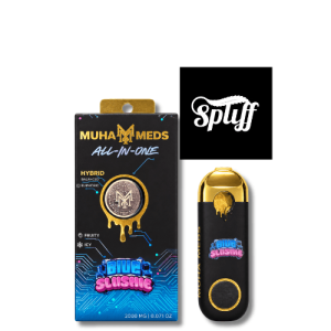 Muha Meds Blue Slushie 2g disposable vape in Washington DC